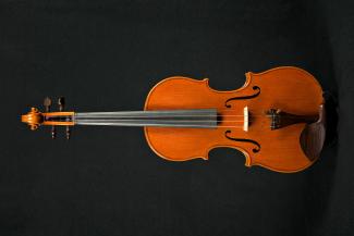 Viola 40